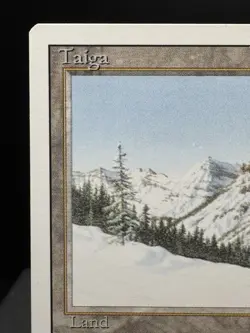 MTG Revised Taiga Dual Land Rare 1994 Vintage NM! - Image 2