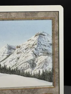 MTG Revised Taiga Dual Land Rare 1994 Vintage NM! - Image 3