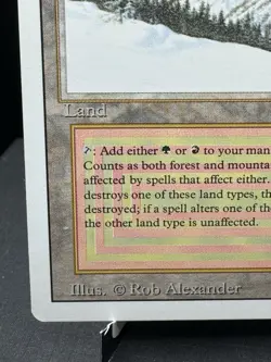 MTG Revised Taiga Dual Land Rare 1994 Vintage NM! - Image 5