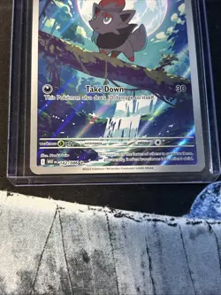 Pokemon TCG Zorua 142/086 2025 White Flare Illustration Rare Card - NM - Image 3