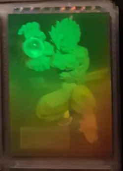 G2U Dragon Ball 3D Hologram Card Goku Japan Rare Anime Manga - Image 1