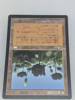 Lotus Vale Weatherlight MTG Magic: the Gathering reserved list JAPANESE NM - Image 4