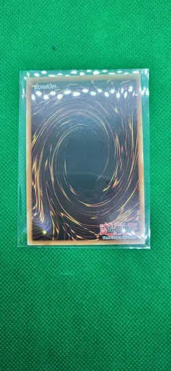 Coral Dragon-Super Rare -RA02-EN031- 1st Edition YuGiOh TGC Card - NM/M - Image 4