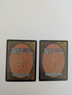 2 Zodiac Snake Portal 3K MTG NM Free shipping with tracking - Image 2