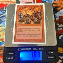 MTG Wildfire 🇬🇧 7th Edition Magic the Gathering MTG Verbrannte Steppe Nm OG - Image 2