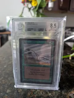 MTG - Beta - Hurricane - BGS 8.5 (8,9,9,9.5) - Image 1