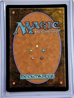 MTG Magic the Gathering Secret Lair Tomb Raider Borderless Foil The Grim Whisper - Image 2