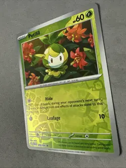 Pokemon TCG * SV Black Bolt 006/086 Petilil Common * REVERSE HOLO * FRESH PK - Image 2