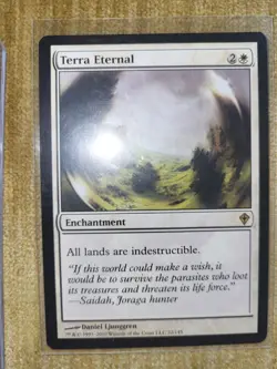 MTG Worldwake Terra Eternal 22 - Image 1