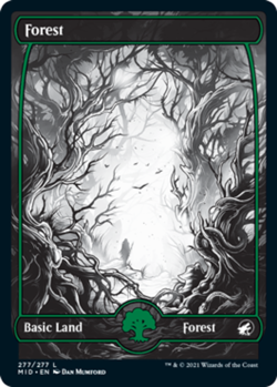 Forest (277) - Foil NM, English MTG Innistrad: Midnight Hunt - Image 1