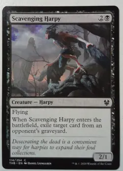 Scavenging Harpy *PLAYSET* Magic MtG x4 Theros Beyond Death - Image 1