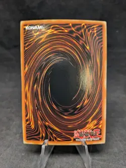 Ghost Sister & Spooky Dogwood -MAGO-EN013 -Yugioh- Maximum Gold -MISPRINT -NM -B - Image 3