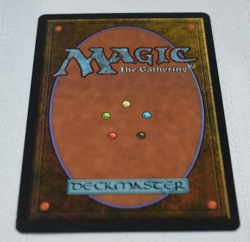 Magic card: MTG Ghosts of the Damned Legends Black Creature 1994 Edward Beard Jr - Image 2