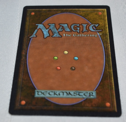 Magic card: Bog Wraith Black Creature Jeff A. Menges MTG - Image 2