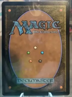 MTG - Misty Rainforest Borderless Special Guests #111 Tarkir Dragonstorm - Image 2
