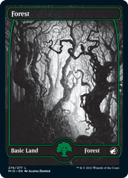 1x Forest (276/277) - FOIL - FULL ART ETERNAL NIGHT MTG Innistrad: Midnight Hunt - Image 1