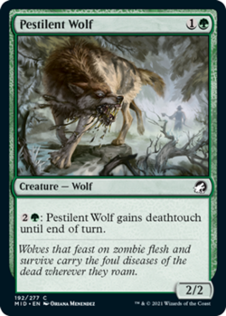 1x Pestilent Wolf - Foil MTG Innistrad: Midnight Hunt NM Magic Foil - Image 1