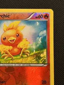 Torchic - 25/160 Primal Clash - Reverse Holo English Pokemon TCG - LP - Image 2