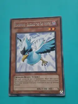 Yugioh - Blackwing - Blizzard the Far North Rare Unlimited Ed. RGBT-EN010 MP - Image 1