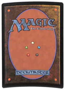 Courageous Resolve - Borderless - Foil - 506 - LOTR (LTC) MTG - Image 2