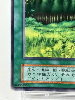 【LP】 Yu-Gi-Oh! Card - Forest - LB-45 Yugioh OCG TCG Japanese Ultra Rare YG44 - Image 4