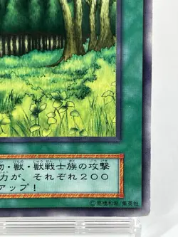 【LP】 Yu-Gi-Oh! Card - Forest - LB-45 Yugioh OCG TCG Japanese Ultra Rare YG44 - Image 5