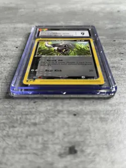 Pokemon Card Poochyena CGC 9 Mint, EX Ruby & Sapphire 64/109, 2003 (1) - Image 3