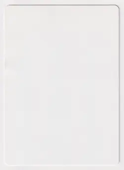 Signed Coalition Flag Proof HP Apocalypse Artist Darrell Riche 2001 MTG Magic AP - Image 2