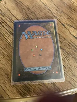 MTG Wheel of Fortune Revised Edition LP Found In Storage Unit - Image 2