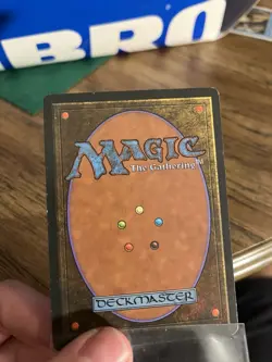 MTG Wheel of Fortune Revised Edition LP Found In Storage Unit - Image 4