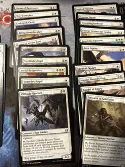 The Lazy Genius EDH MTG Pack : Exalted Vigilance (for the Seriema) - Image 2