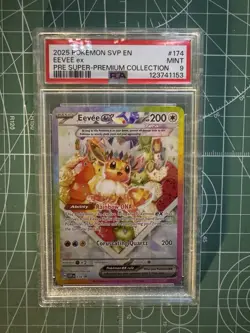 2025 Pokemon SVP EN Eevee Ex - PSA 9 - Pre Super Premium Collection - MINT #174 - Image 1