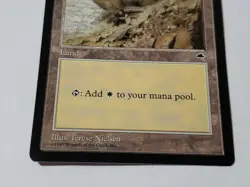 MTG Plains Tempest Regular Land Magic - Image 3