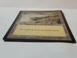 MTG Plains Tempest Regular Land Magic - Image 4