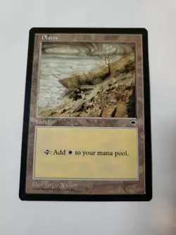 MTG Plains Tempest Regular Land Magic - Image 1