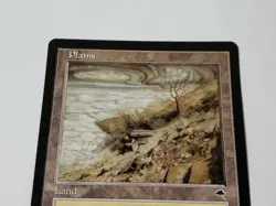 MTG Plains Tempest Regular Land Magic - Image 2
