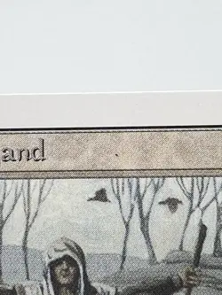 MTG CONSECRATE LAND Unlimited Edition Regular MT+ Uncommon Magic The Gathering - Image 3