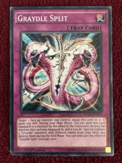 Graydle Split - DOCS-EN075 - Common - 1st Edition YuGiOh! Dimension of Chaos - Image 1