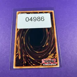 DUAD-EN027 Leo Wizard the Dark Fiend Common 1st Edition Yugioh Card TCG - Image 5