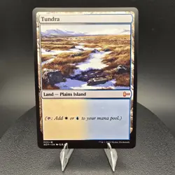 Tundra - Custom MTG Card - High-Quality - Image 2