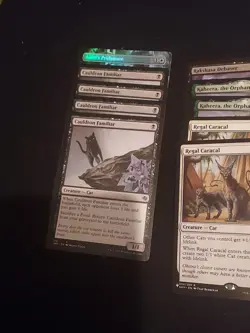 Mtg Cats Lot #2 X29 - Image 3