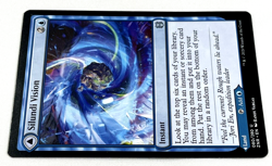 MTG Silundi Vision Silundi Isle Zendikar Rising 080/280 Regular Uncommon - Image 4