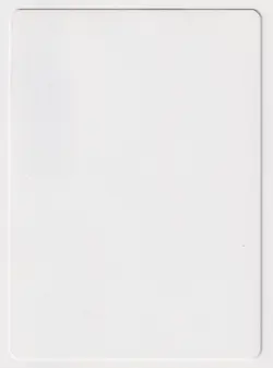 Signed Scryb Ranger Proof HP Time Spiral Artist Rebecca Guay MTG Magic AP Faerie - Image 2