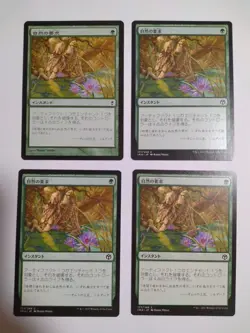 Mtg Magic The Gathering Nature'S Requests Japan Edition 4-Piece Set - Image 1