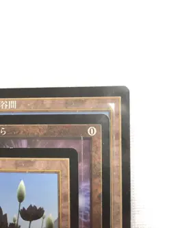 Mtg Water Lotus Breed Petals Japan Edition 3-Piece Set Magic The Gathering Petal - Image 4