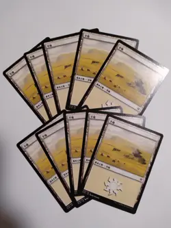 Mtg Magic The Gathering Basic Land Plain Japan Edition Set Of 10 - Image 1