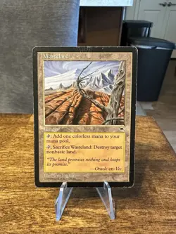 MTG Tempest Wasteland (LP) - Art: Una Fricker - Image 1