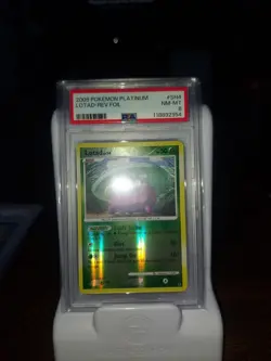2009 Pokemon Lotad SH4 Reverse Holo Foil Platinum Set PSA 8 NM-MT - Image 2