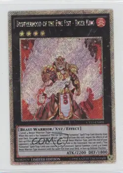 Brotherhood of the Fire Fist - Tiger King YuGiOh MegaTins Limited Edition - Image 1