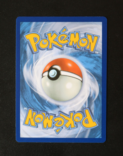Pokemon Card TCG - Skwovet 205/091 - Paldean Fates - Baby Shiny Rare - NM ⭐ - Image 4
